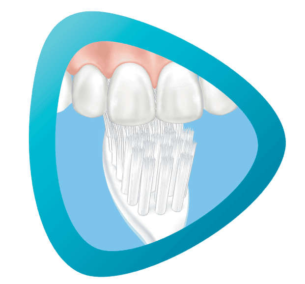 وأخيراً: تنظيف أسطح المضغ